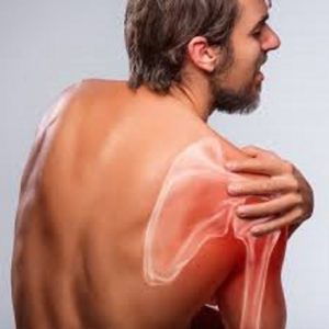 Kalkschulter. Medical Herb Lab